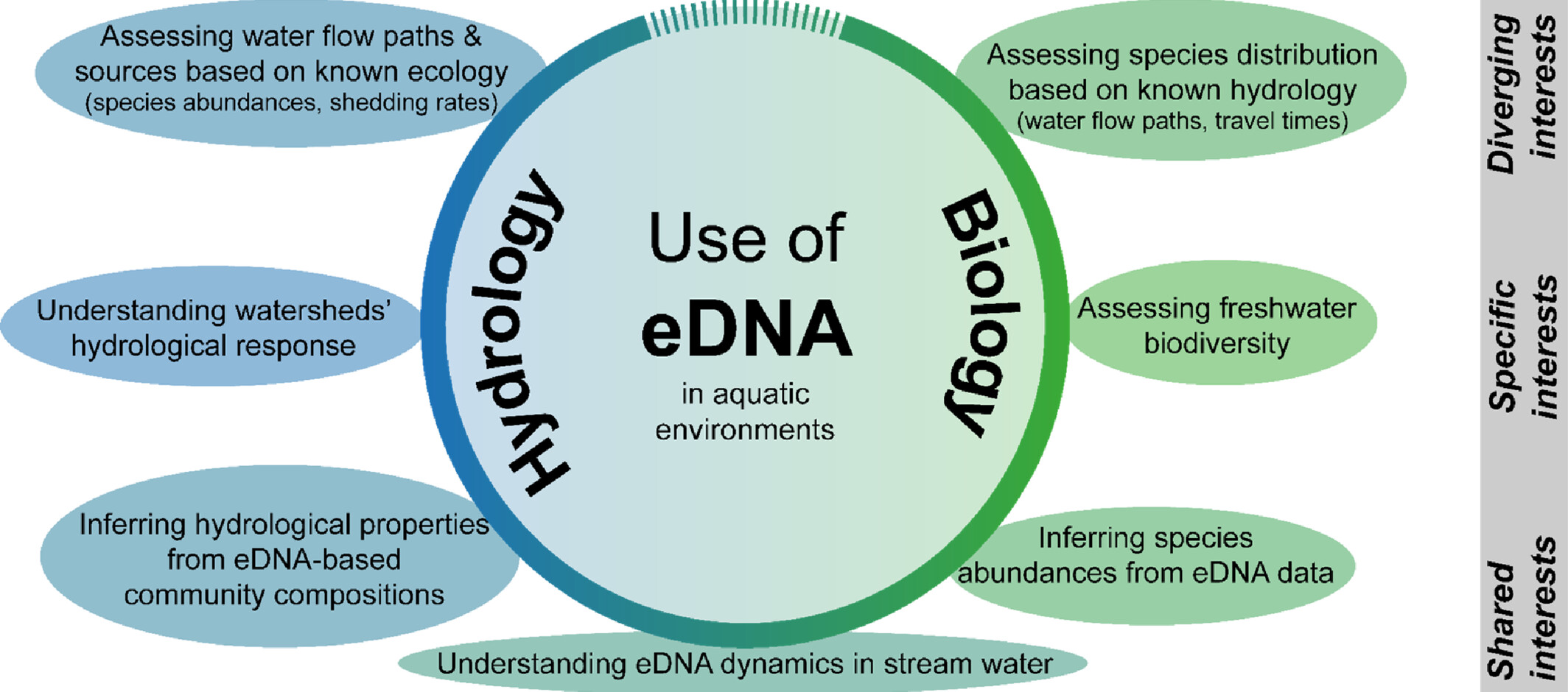 Shall we begin our new flow path?